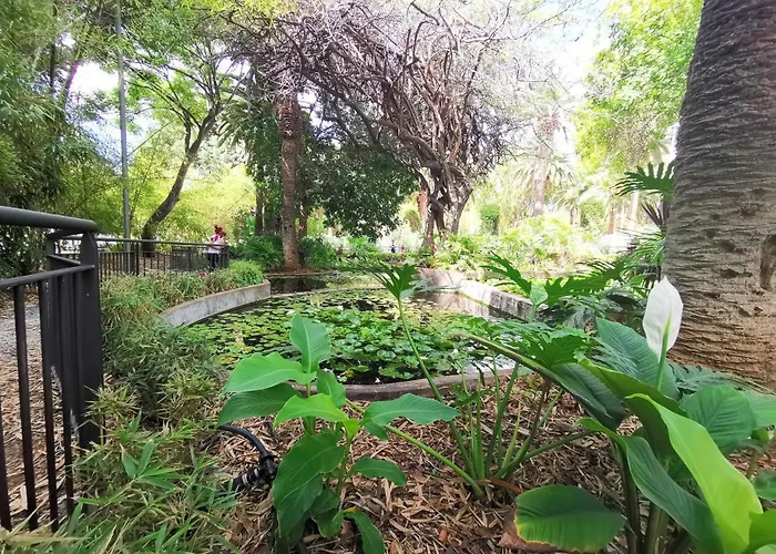 Home2book Chic & Stylish Rosalia Daire Santa Cruz de Tenerife