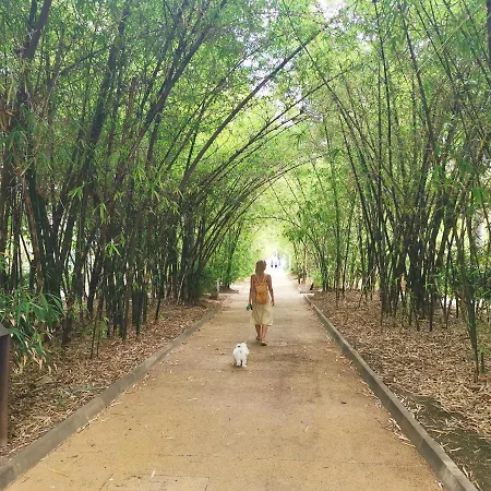 Apartament Home2book Chic & Stylish Rosalia