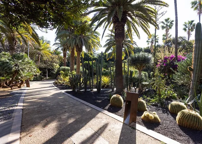 Home2book Chic & Stylish Rosalia Apartment Santa Cruz de Tenerife