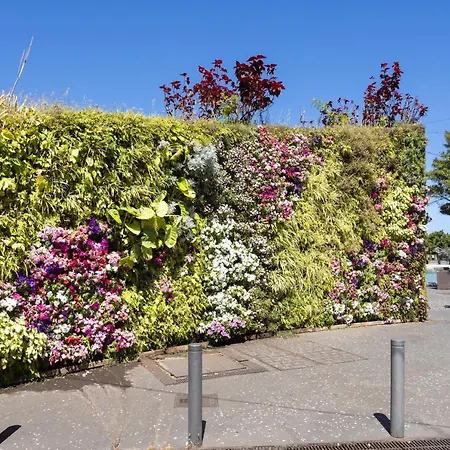 Home2book Chic & Stylish Rosalia Appartement Santa-Cruz de Ténérife