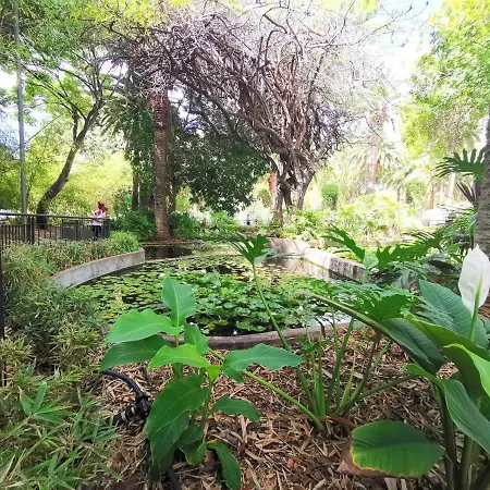 Home2book Chic & Stylish Rosalia Appartement Santa-Cruz de Ténérife