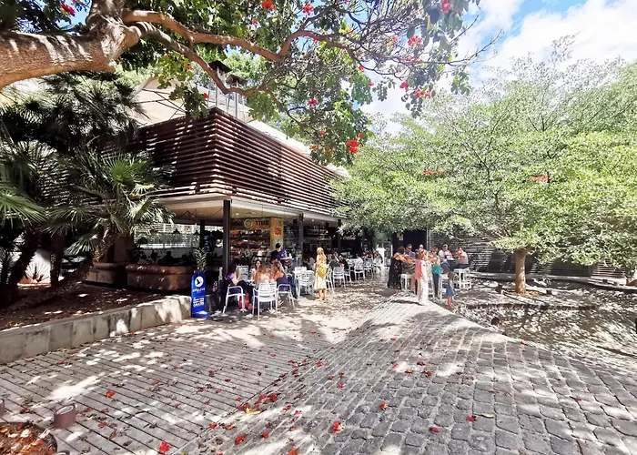 Appartement Home2book Chic & Stylish Rosalia Santa-Cruz de Ténérife