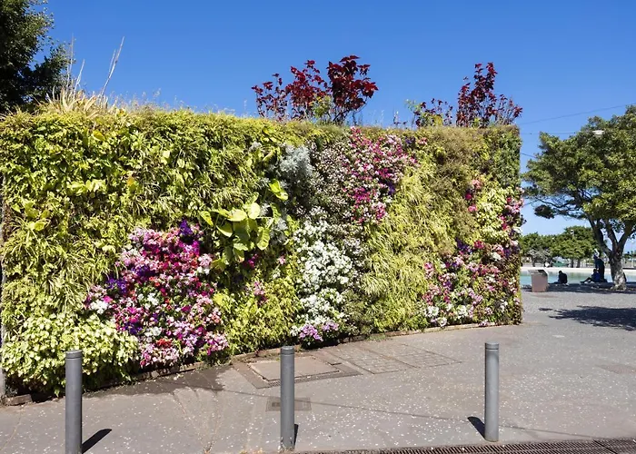 Home2book Chic & Stylish Rosalia Appartement Santa-Cruz de Ténérife