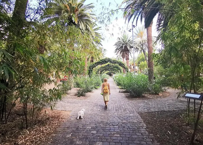 Home2book Chic & Stylish Rosalia Santa-Cruz de Ténérife